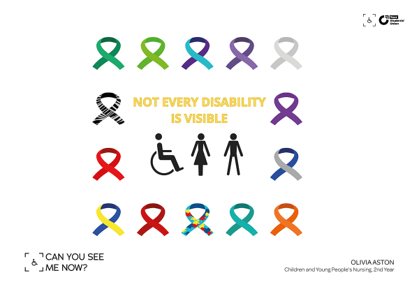 Stick figure icons representing a wheelchair user, woman and man, above them text reads: Not every disability is visible. Surrounding them are 14 different campaign awareness ribbons
