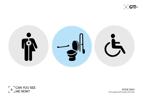 Three circles. The first is grey and contains a stick figure, the left half represents a man, the right half a woman, at their heart is a flower. The second is blue and contains an illustratio of an accessible toilet. The third is grey and contains an icon of a wheelchair user.